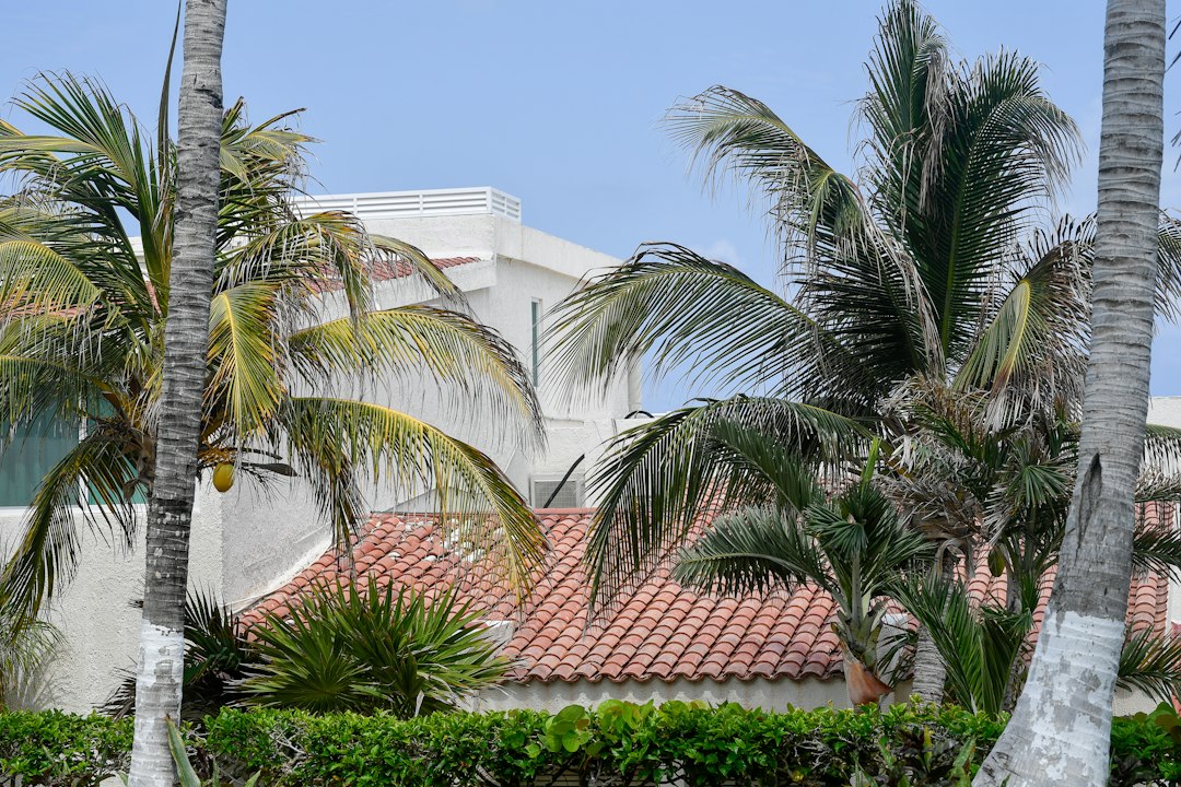 Casa de estilo tropical rodeada de palmeras en Cancún