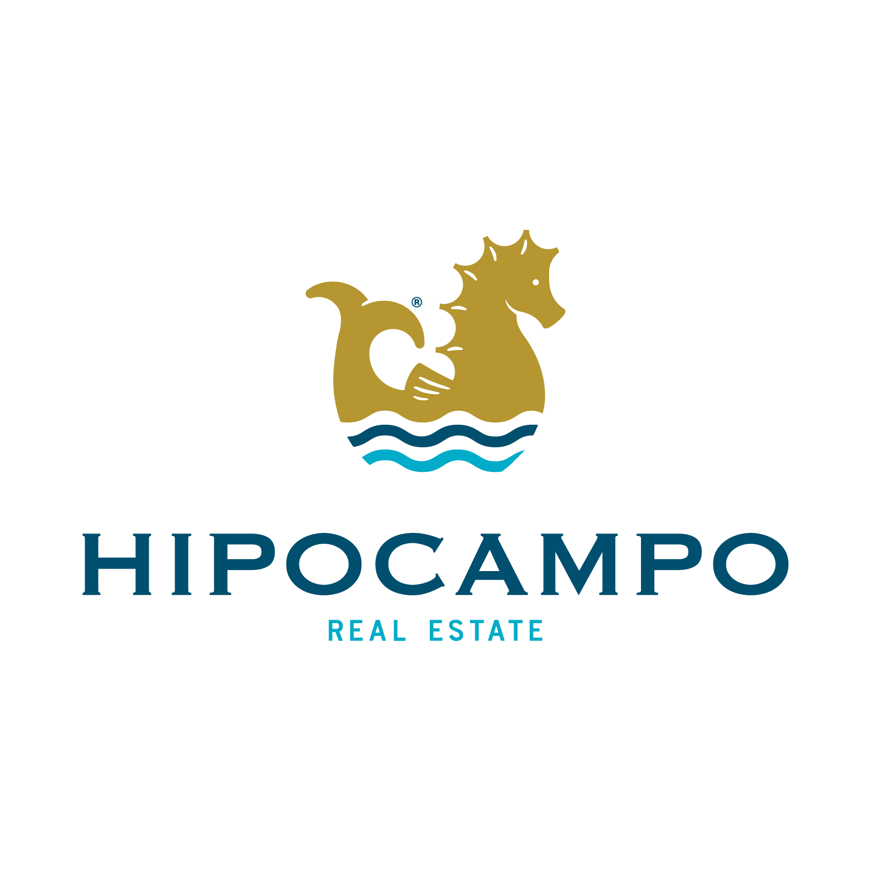 Hipocampo Real Estate Cancún - Directorio Inmobiliario