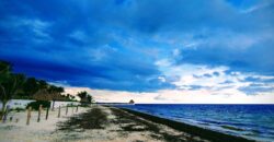Terreno hotelero frente al mar en venta en Puerto Morelos, 1,600 m²