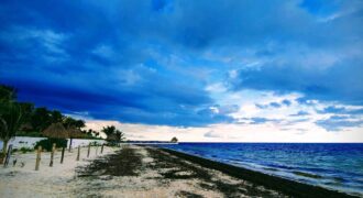 Terreno hotelero frente al mar en venta en Puerto Morelos, 1,600 m²