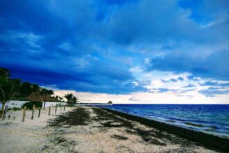Terreno hotelero frente al mar en venta en Puerto Morelos, 1,600 m²