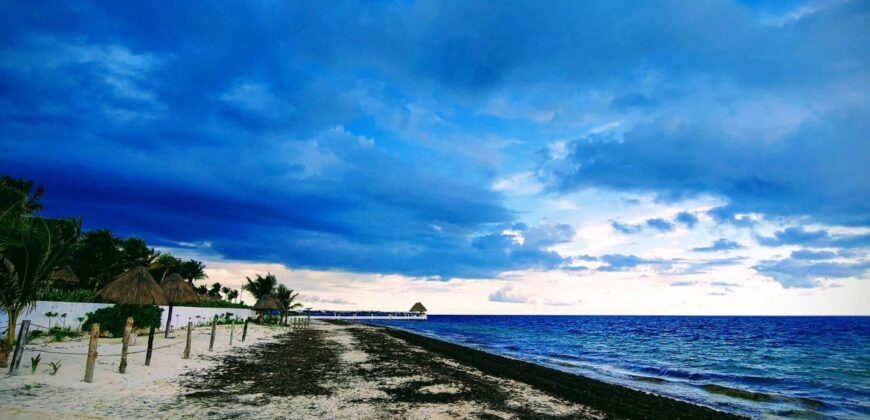 Terreno hotelero frente al mar en venta en Puerto Morelos, 1,600 m²